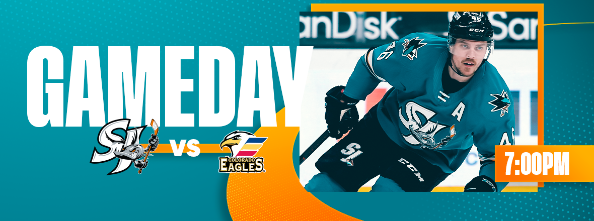 GAMEDAY: BARRACUDA VS EAGLES