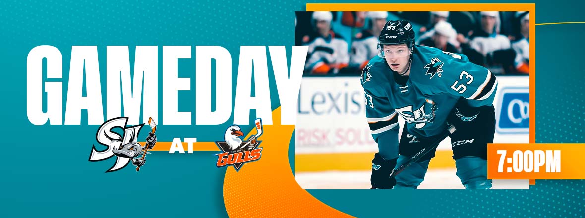 GAMEDAY: BARRACUDA AT GULLS