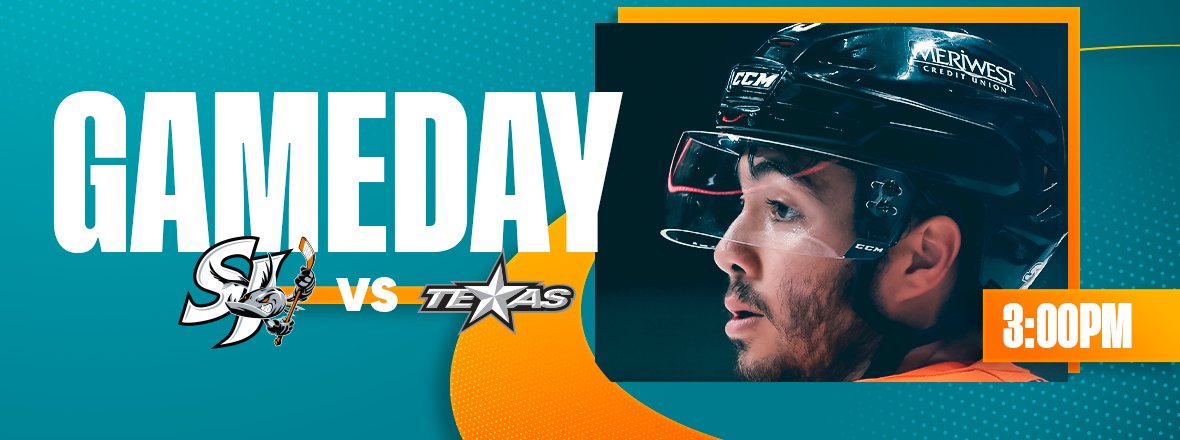 GAMEDAY: BARRACUDA VS STARS