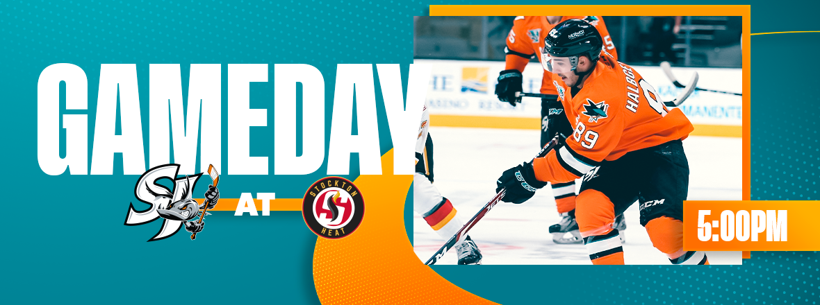 GAMEDAY: BARRACUDA AT HEAT