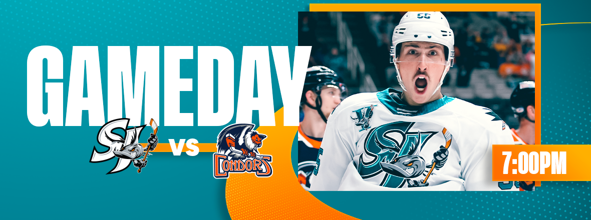 GAMEDAY: BARRACUDA VS CONDORS