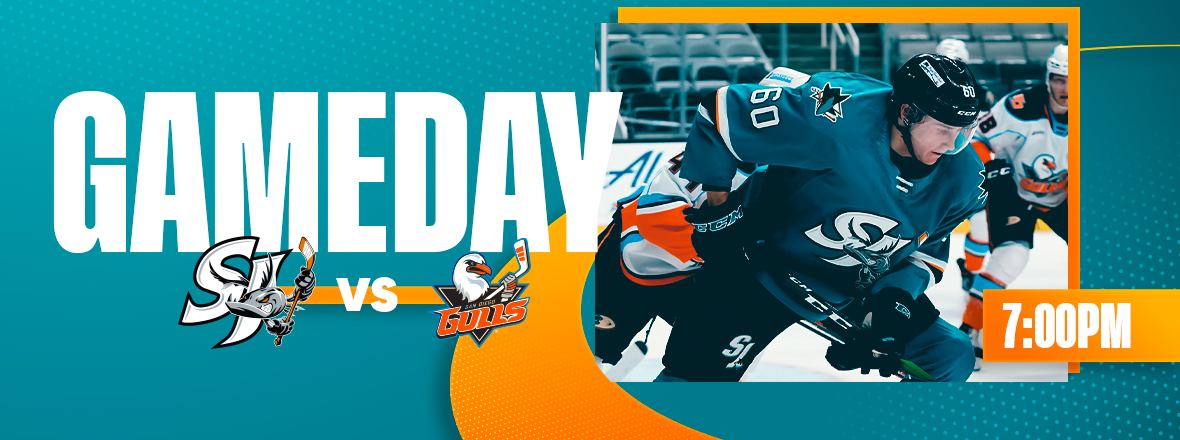 GAMEDAY: BARRACUDA VS GULLS