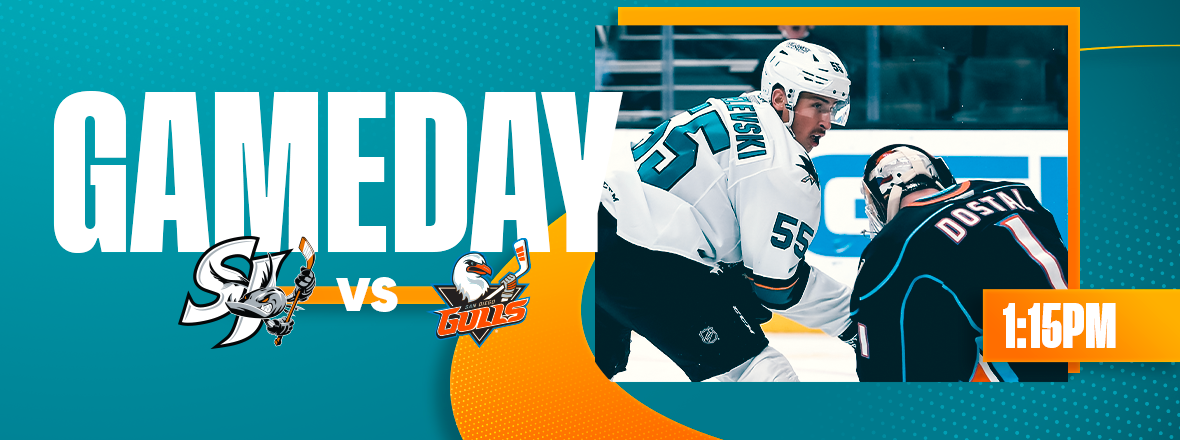 GAMEDAY: BARRACUDA VS GULLS