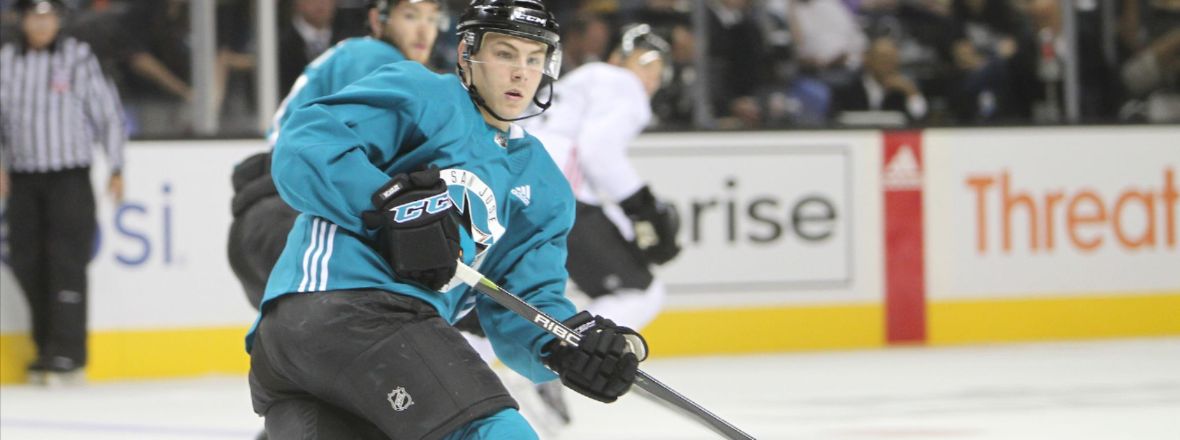 BARRACUDA RECALL FORWARD COLBY MCAULEY FROM ORLANDO