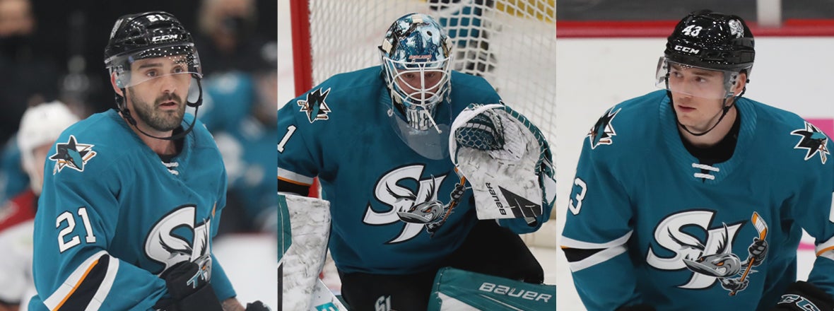 SHARKS RECALL THREE FROM BARRACUDA