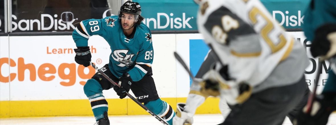 SHARKS RECALL HALBGEWACHS