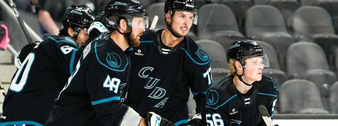 San Jose Barracuda vs Rockford Icehogs