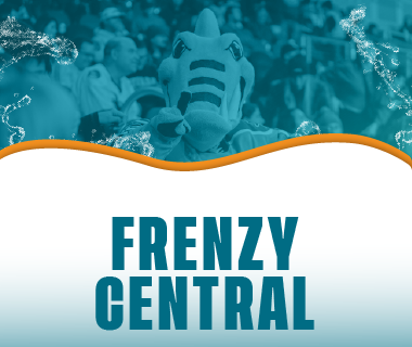 Frenzy Central Button