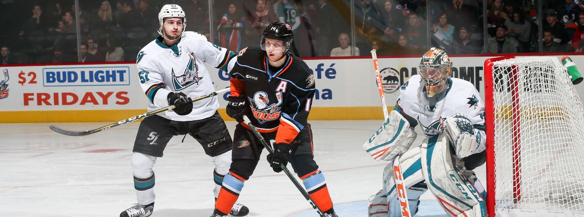 BARRACUDA STUMBLE IN SAN DIEGO, FALL 5-0