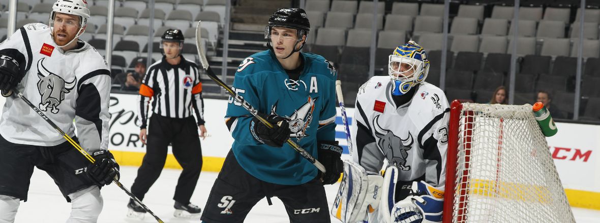 SHARKS RECALL DANNY O'REGAN, ASSIGN TROY GROSENICK