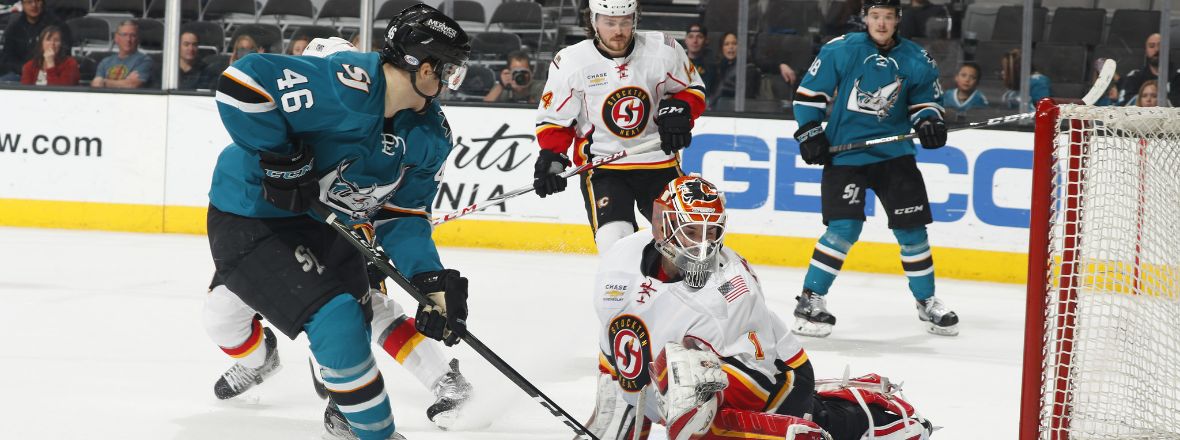 BARRACUDA RETURN HOME, FALL 4-2 TO HEAT