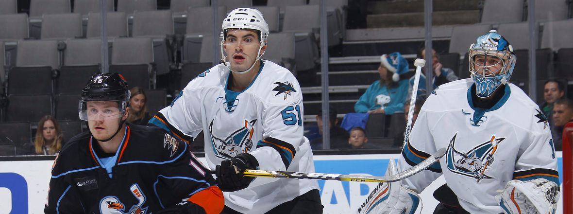 BARRACUDA SHUTOUT GULLS IN COMPLETE EFFORT