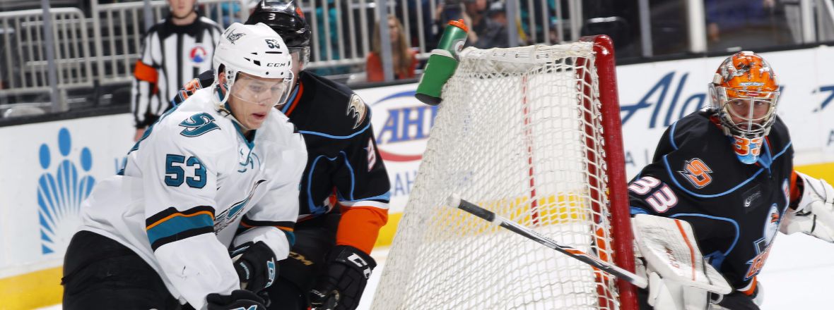 GAMEDAY: BARRACUDA AT GULLS (1-20-17)