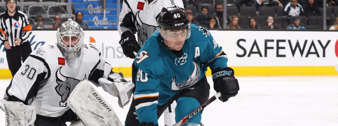 SHARKS RECALL FORWARD CARPENTER