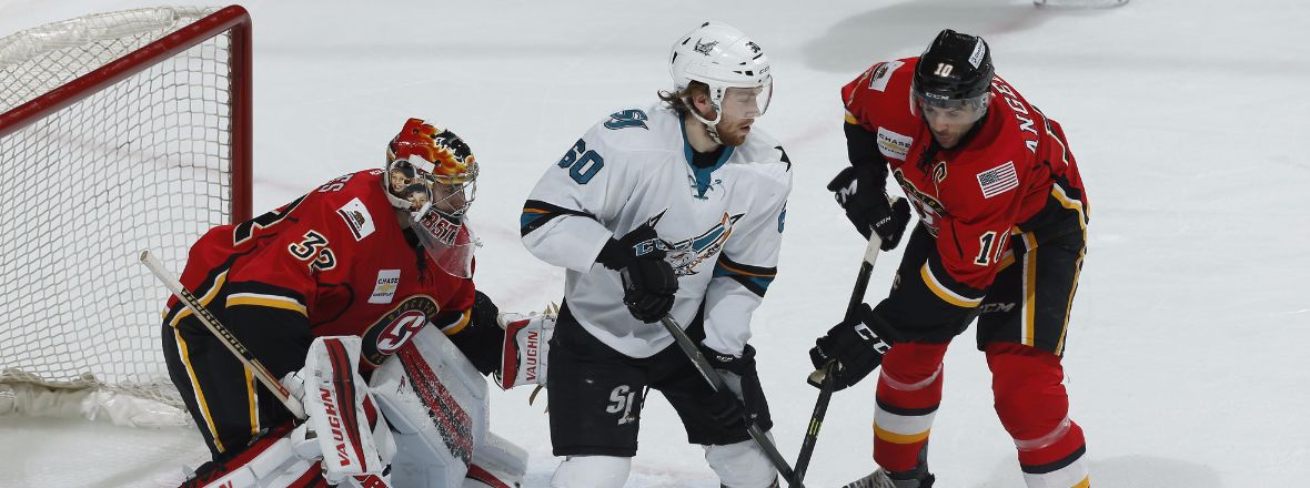 BARRACUDA COOL HEAT WITH 6-3 WIN