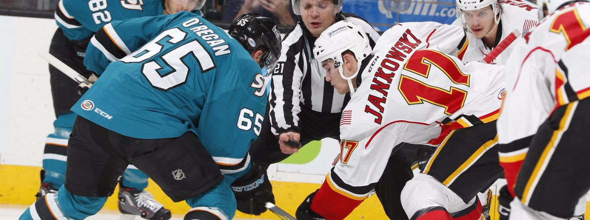 GAMEDAY: BARRACUDA AT STOCKTON (3-4-17)