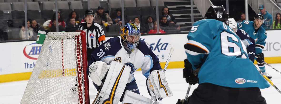 GAMEDAY: BARRACUDA AT ADMIRALS (1-28-17)