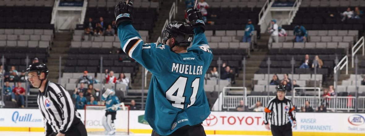 SHARKS RECALL SORENSEN AND MUELLER FROM THE BARRACUDA