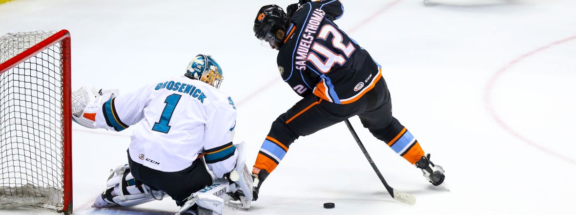 BARRACUDA STUMBLE IN SAN DIEGO, 5-1