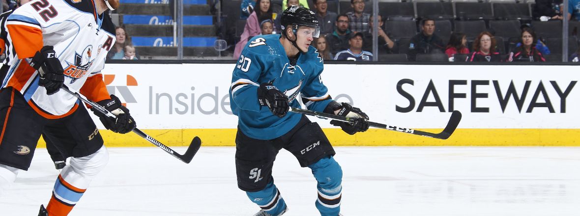 SHARKS REASSIGN MARCUS SORENSEN &amp; TIM HEED