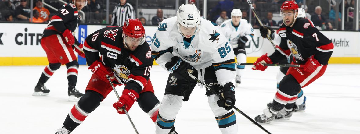 BARRACUDA RECALL MCAULEY &amp; SCHOENBORN FROM ALLEN