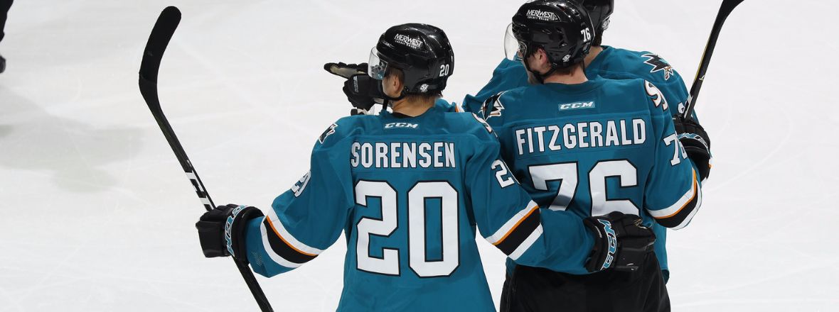 SHARKS RECALL FORWARD MARCUS SORENSEN