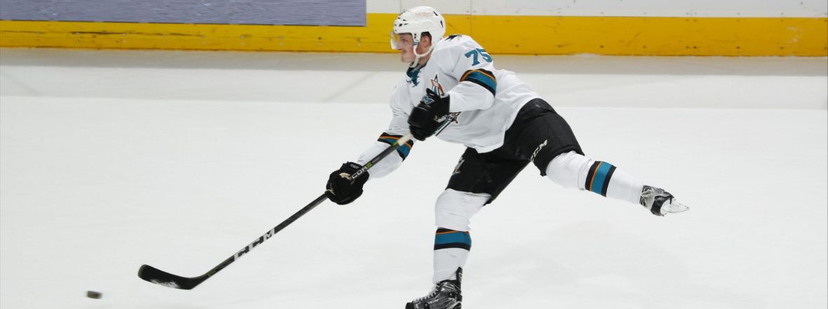 BARRACUDA RECALL D-MEN BRODZINSKI AND DONAGHEY