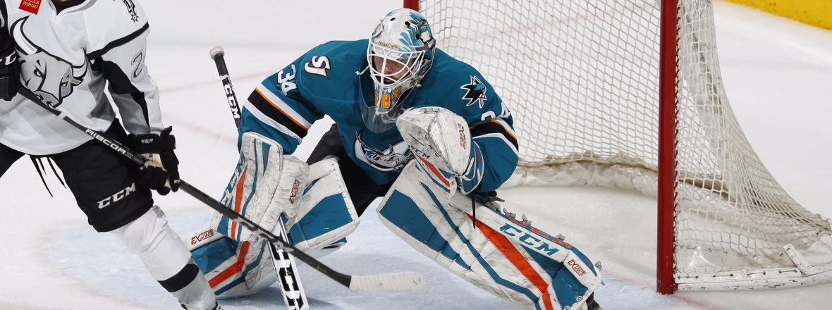 SHARKS RECALL GOALTENDER ANTOINE BIBEAU