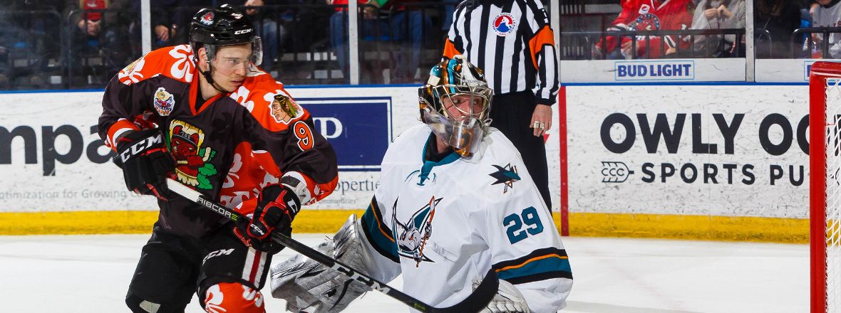 BARRACUDA DOWNED BY ROCKFORD'S FOUR-GOAL THIRD