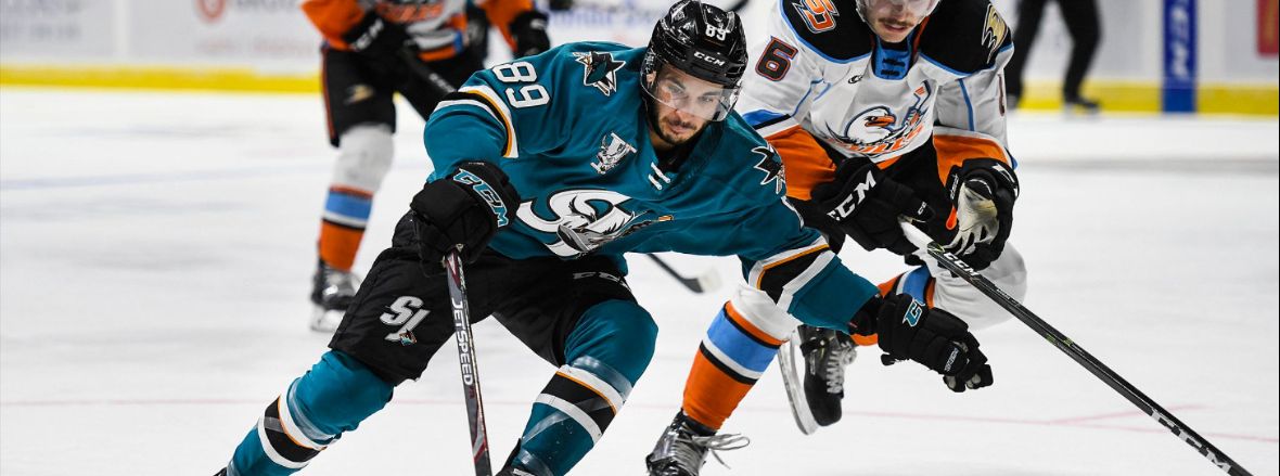 GAMEDAY: BARRACUDA AT GULLS