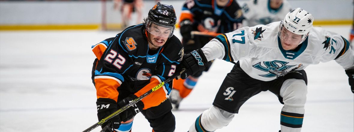 BARRACUDA JUMP OUT TO EARLY LEAD, DOWN GULLS 4-1