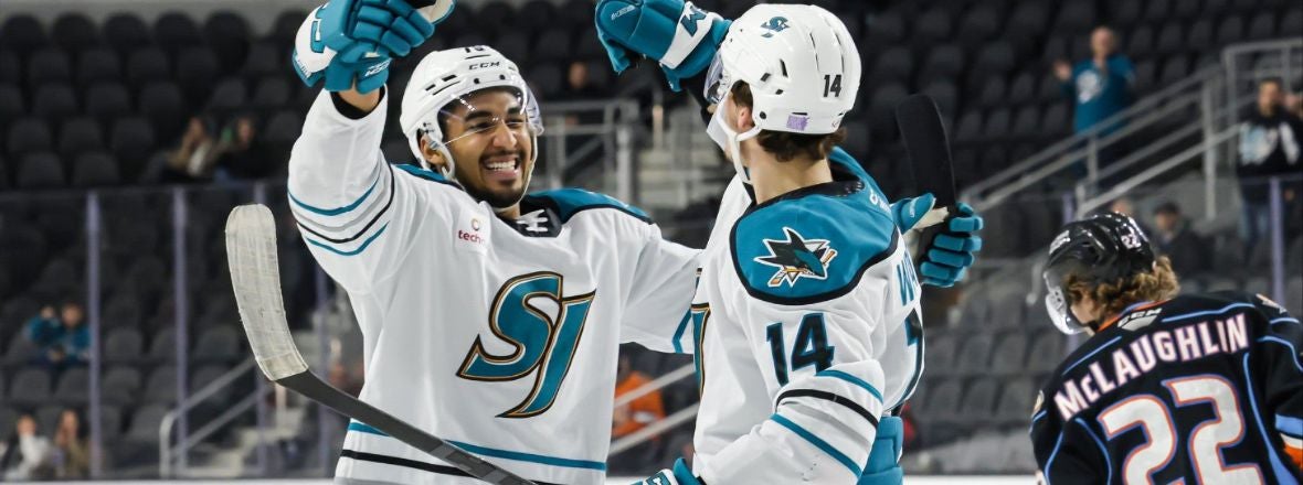 BARRACUDA BLANK GULLS, 3-0