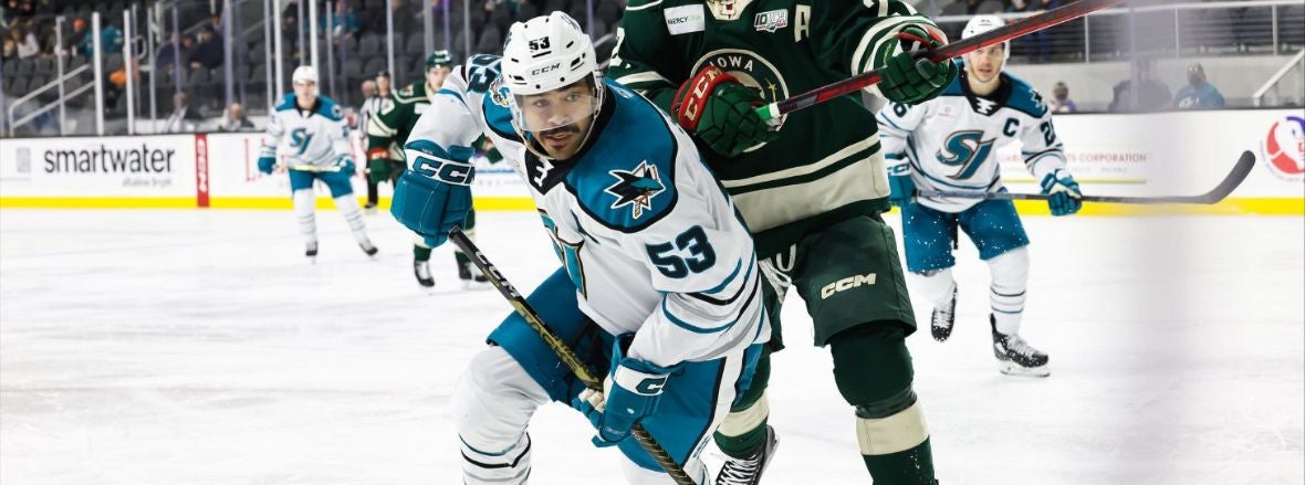 GAMEDAY: BARRACUDA VS WILD