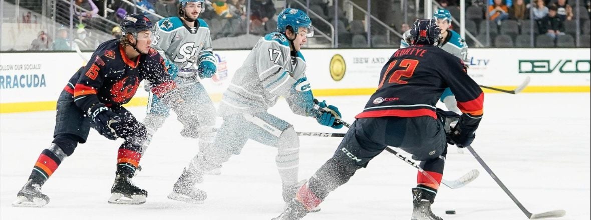 BARRACUDA STUNG BY FIREBIRDS, 4-1