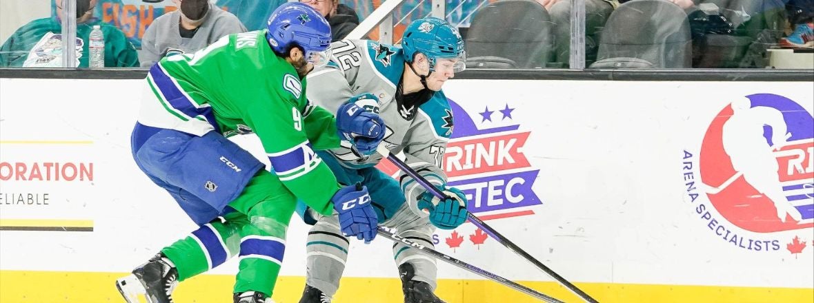 San Jose Barracuda (@sjbarracuda) • Instagram photos and videos