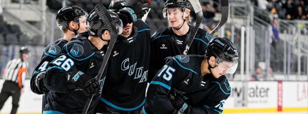 GAMEDAY: BARRACUDA VS STARS