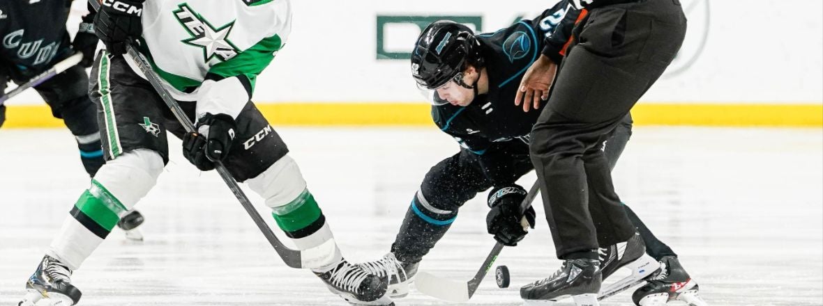 GAMEDAY: BARRACUDA VS STARS