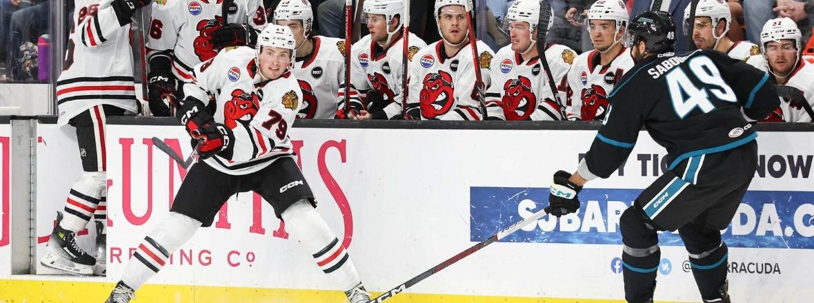 GAMEDAY: BARRACUDA AT ICEHOGS