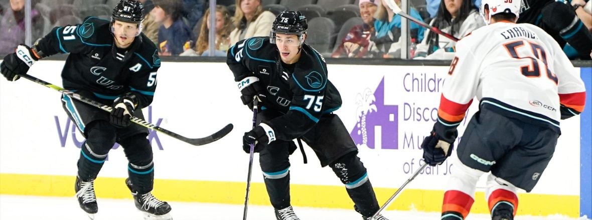 BARRACUDA SET TO BECOME THE WORCESTER SHARKS ON JAN. 13TH