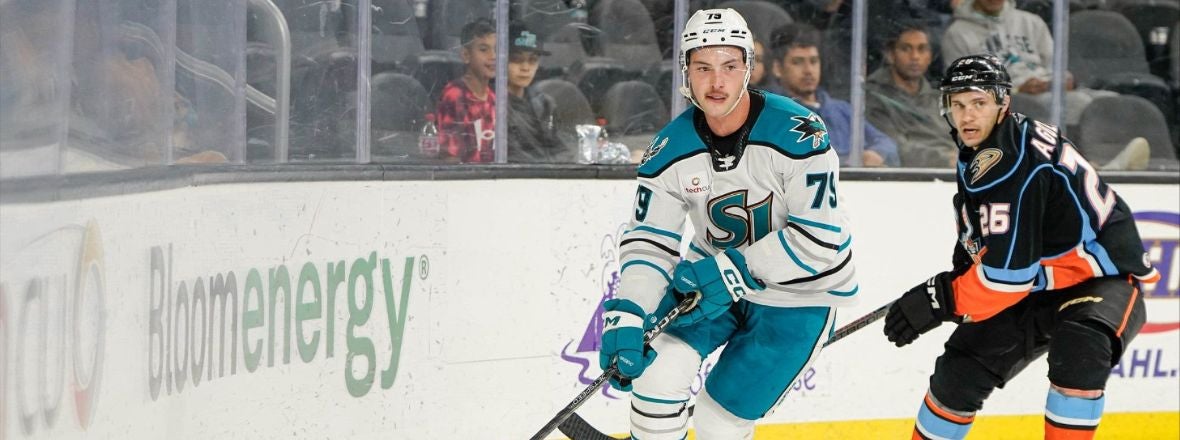 GAMEDAY: BARRACUDA VS GULLS