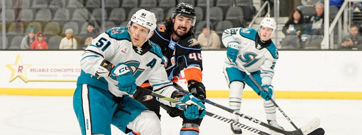 GAMEDAY: BARRACUDA AT GULLS