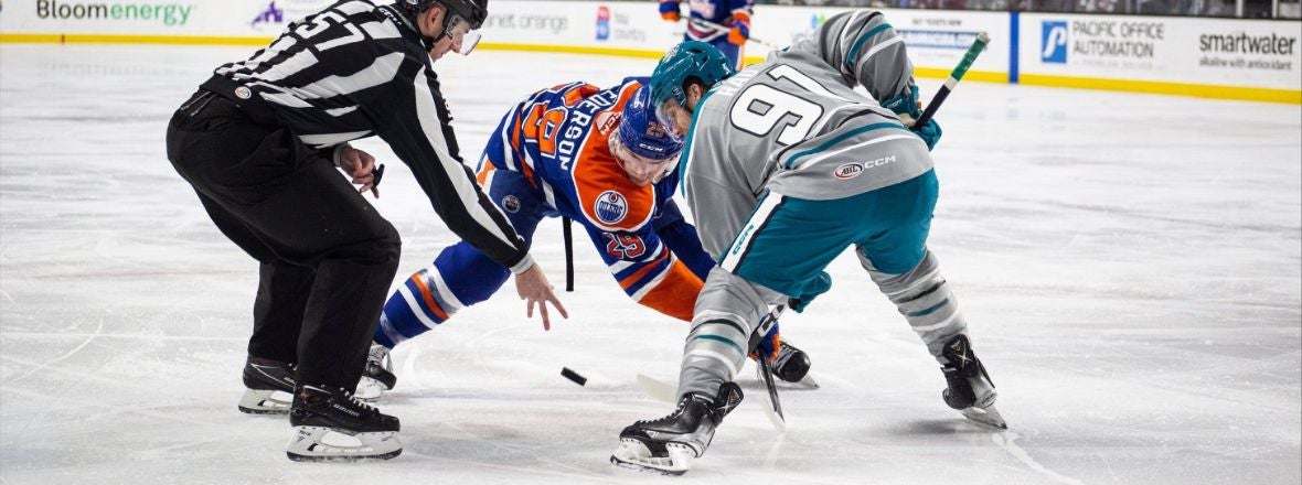 BARRACUDA CLAWED BY CONDORS, 4-2