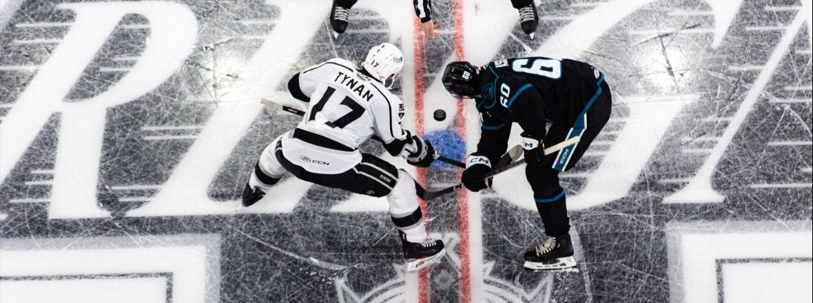 GAMEDAY: BARRACUDA AT REIGN