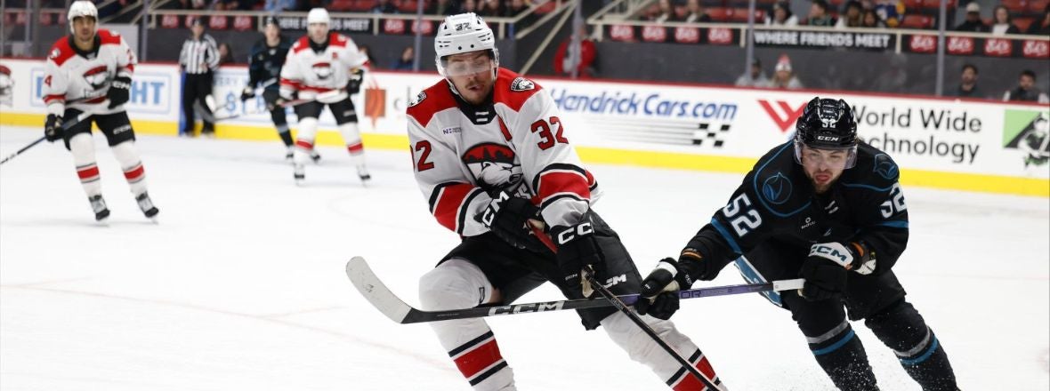 ROBINS SCORES AGAIN IN 4-1 LOSS TO CHECKERS