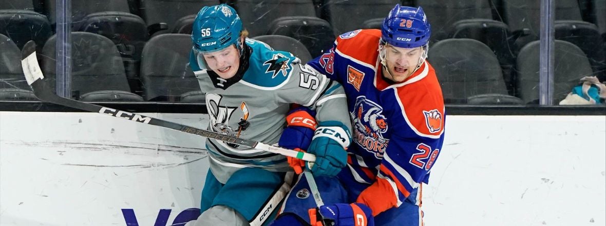 GAMEDAY: BARRACUDA VS CONDORS