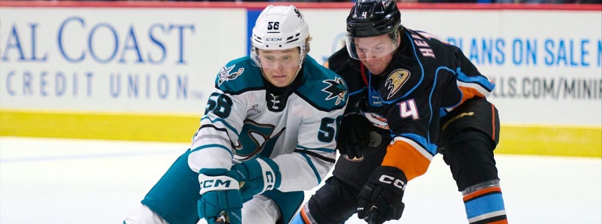 GAMEDAY: BARRACUDA AT GULLS