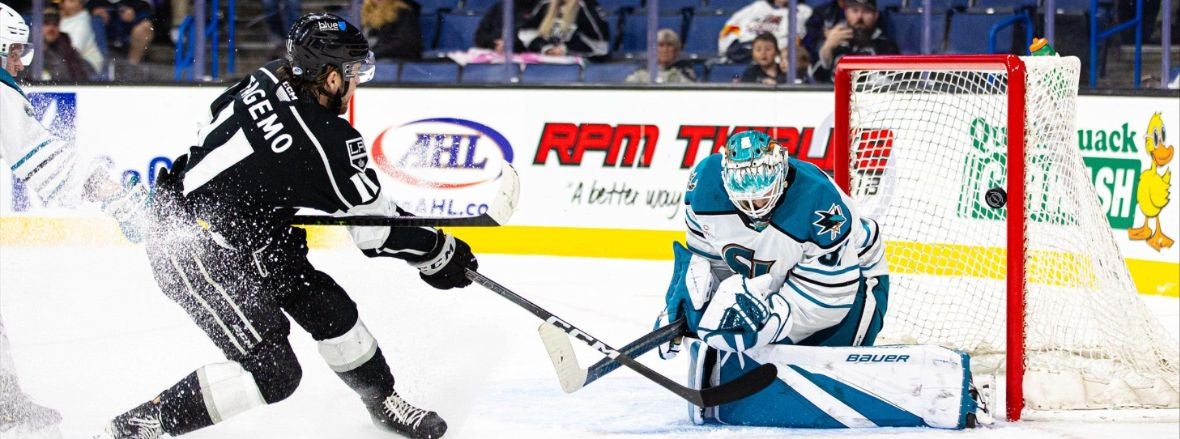 GAMEDAY: BARRACUDA AT REIGN