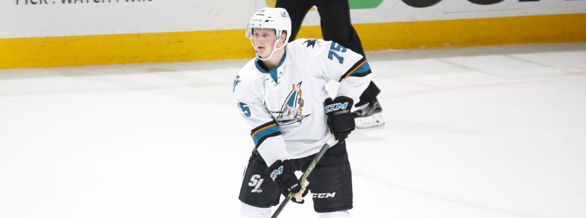 BARRACUDA RECALL DEFENSEMAN BRODZINSKI