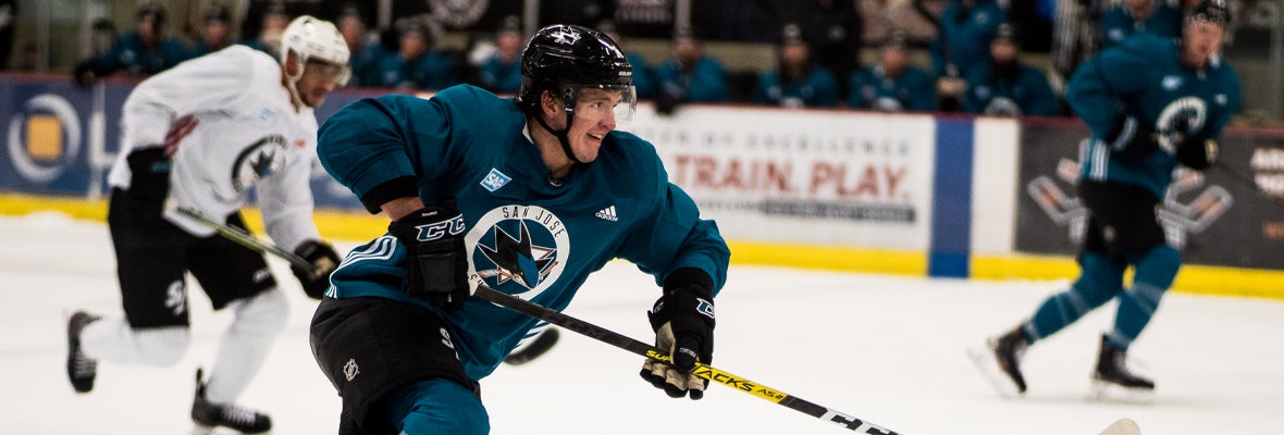 10 Barracuda Alum make Sharks Roster and Taxi Squad