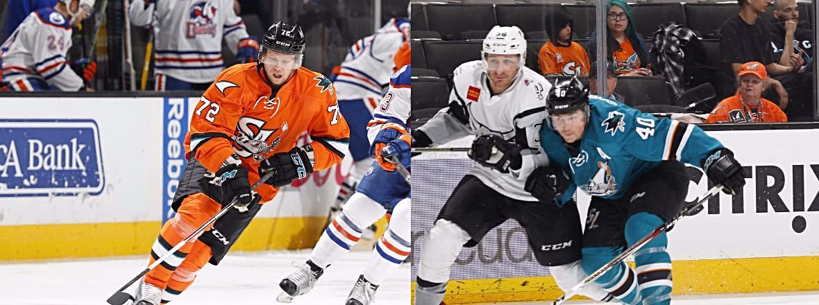 SHARKS REASSIGN TIM HEED AND RYAN CARPENTER